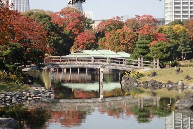 Tsukiji Outer Market Gourmet Tour! - Local Guide Expertise