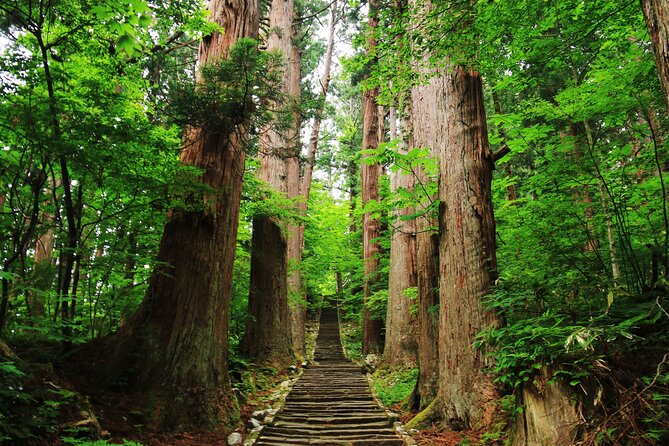 Tsuruoka & Dewa-Sanzan Full-Day Private Tour With Government-Licensed Guide - Expectations
