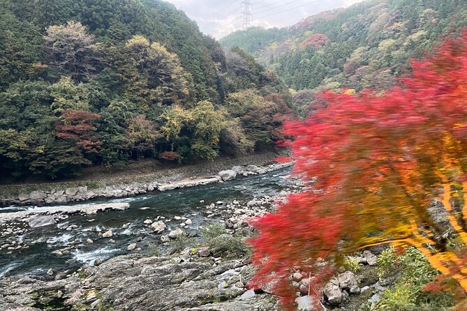 Unlock Kyotos Charm: Government-Certified Group Tour - Reviews