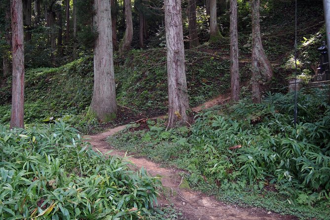 Walking & Cycling - Contact for Further Assistance