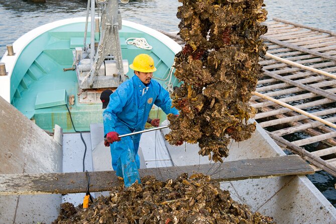 Witness an Oyster Harvest & Interact With Local Oyster Farmers! - Tour Duration and Logistics