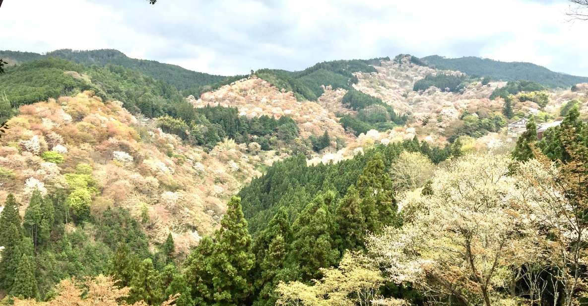 Yoshino: Private Guided Tour & Hiking in a Japanese Mountain - Inclusions