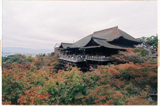 1 Day Private Kyoto Tour (Charter) - English Speaking Driver - Vehicle and Chauffeur Features