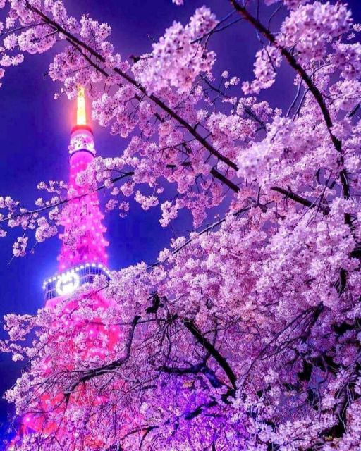 1 Day Tokyo Private Charter Sightseeing Tour With Guide - Highlights