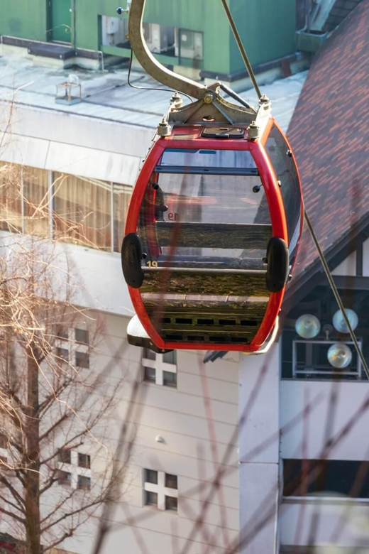 1-Day Walking Tour Around Kobe : Mountains, Sea and Sake - Important Tour Information