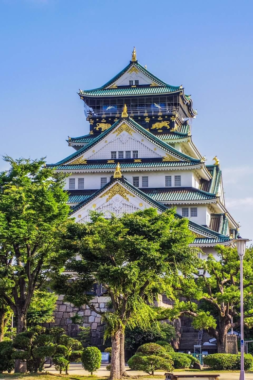 1-Day Walking Tour in Osaka:Castle, Temples and Ukiyoe - Customer Review