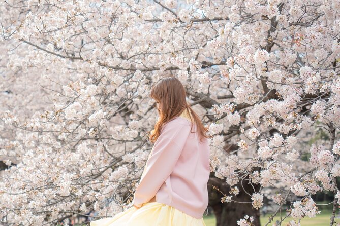 2 - Hour Private Walking Tokyo Photoshoot - Cancellation Policy