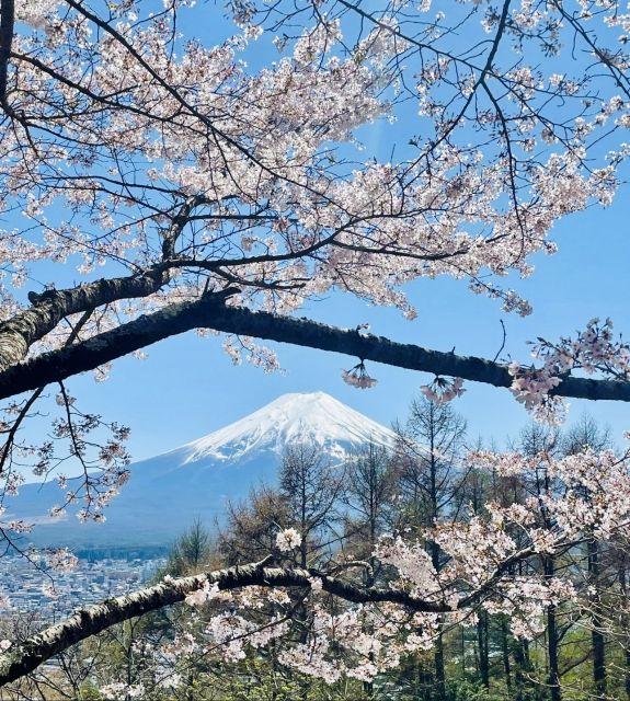 4 Seasons Trip & Tours - Itinerary