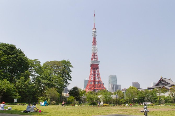 8-Hour Tokyo Tour by Qualified Tour Guide Using Public Transport - Customer Support and Assistance