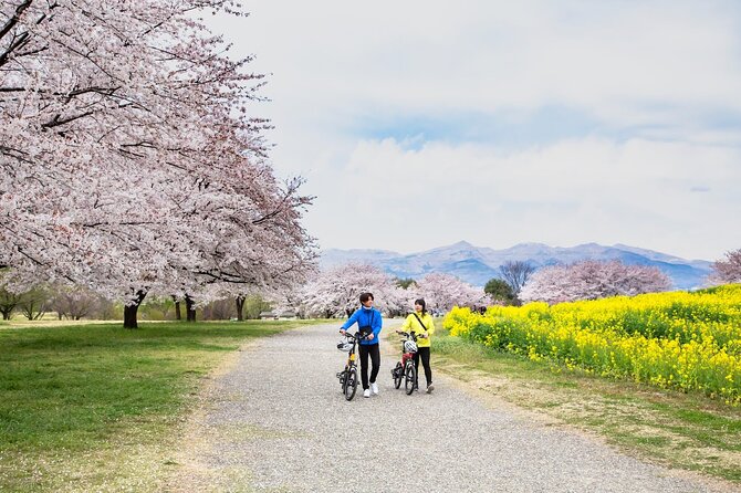 Akagi Great Countryside E-Bike Tour - Rating and Review Insights