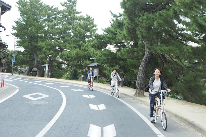 An E-Bike Cycling Tour of Matsue That Will Add to Your Enjoyment of the City - Must-See Sights