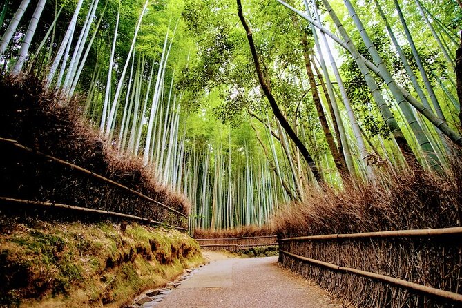Arashiyama Walking Tour - Bamboo Forest, Monkey Park & Secrets - Highlights of the Walking Tour