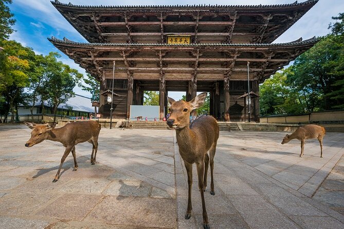 Arashiyama & Yasaka Shrine & Nara & Todaiji Day Trip From Osaka - Discovering Nara and Todaiji