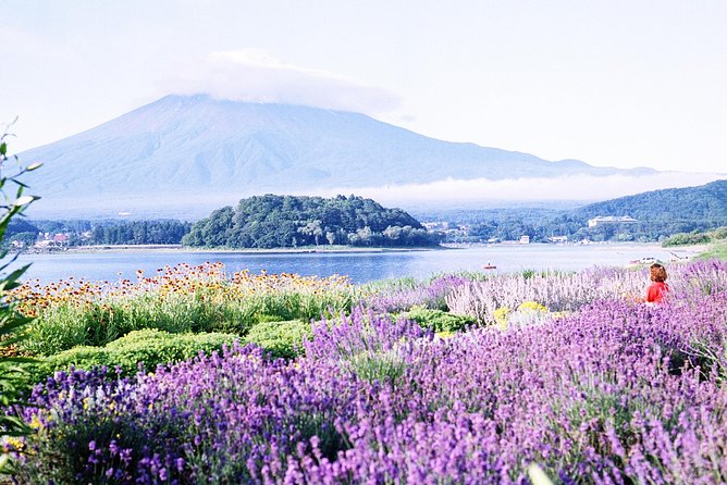 Barrier-Free Private Mt. Fuji Tour for Wheelchair Users - Common questions