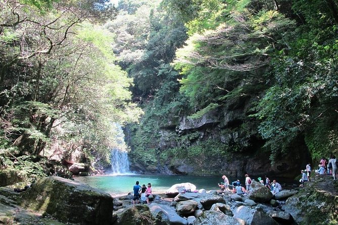 Day Trip Charter Bus Tour to Waterfall & Nagasaki From Fukuoka - Tour Duration