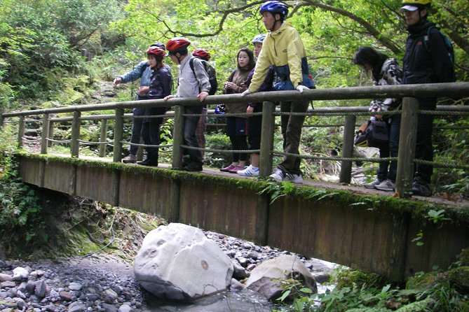 Downhill Biking - Training Tips for Downhill Biking