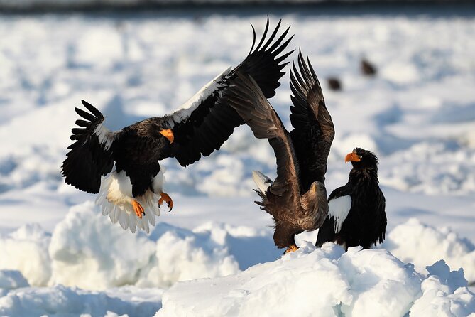 Drift Ice Walking 360 - Important Notes