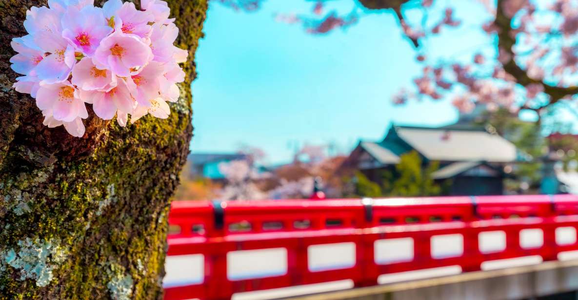 From Nagoya: Gujo, Hida Takayama, and Shirakawa-go Day Tour - Highlights