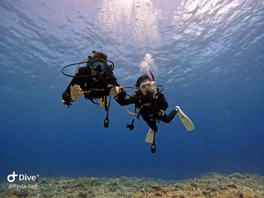 From Naha Scuba Diving Trip in Kerama(For Certified Divers) - Participant Restrictions