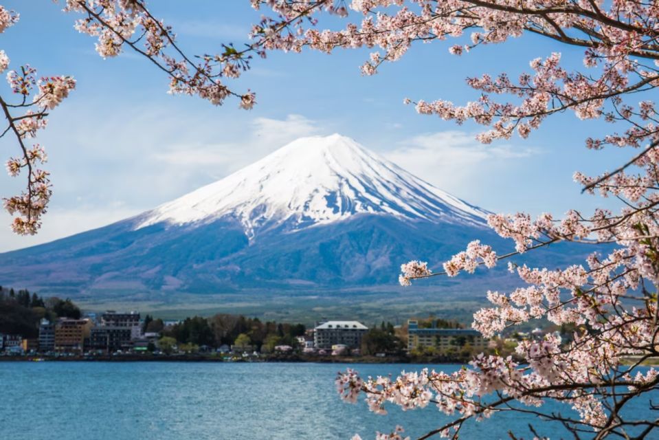 From Tokyo: 10-hour Mount Fuji Private Customizable Tour - Customer Reviews