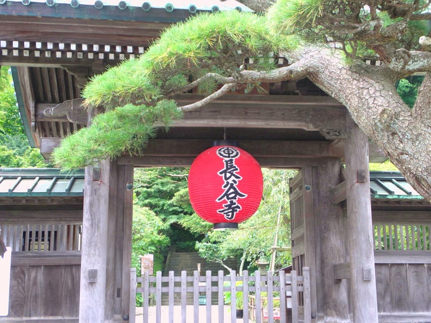 From Tokyo: Kamakura Temples Private Guided Tour - Highlights