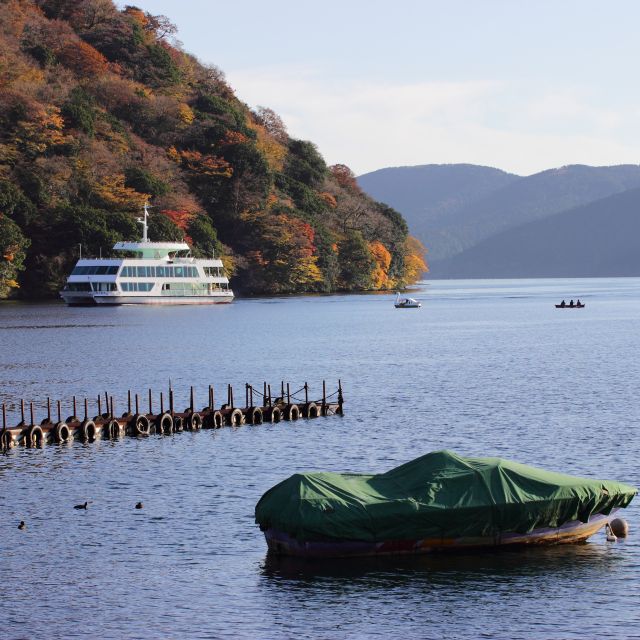 From Tokyo: Mount Fuji and Hakone Private Day Trip - Pickup and Drop-off Locations