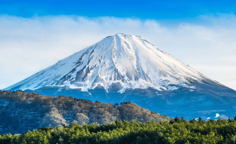 From Tokyo: Mount Fuji Full-Day Private Customized Tour - Customer Review