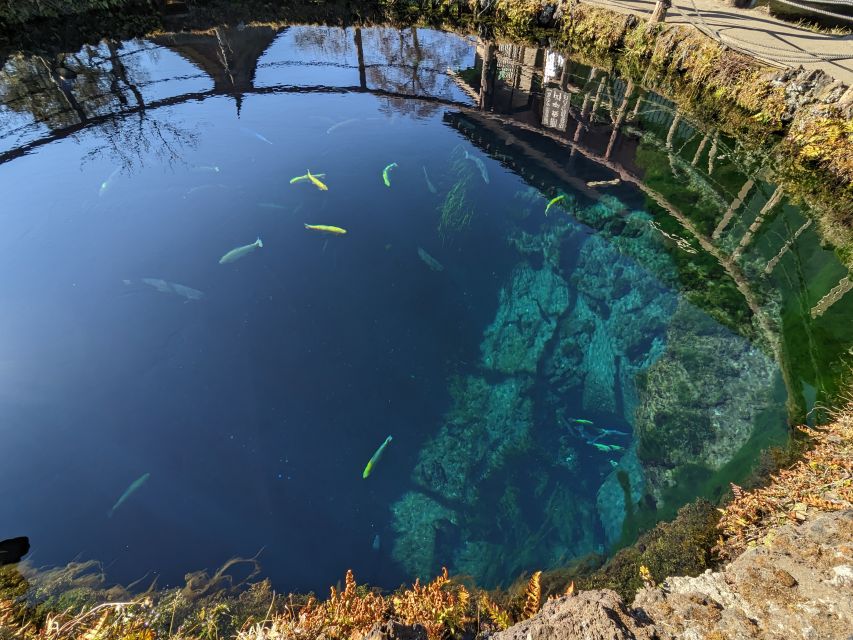 From Tokyo: Mount Fuji Highlights Private Day Tour - Pricing Details