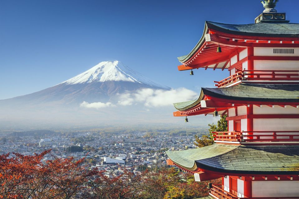 From Tokyo: Mount Fuji Private Day Tour - Important Information