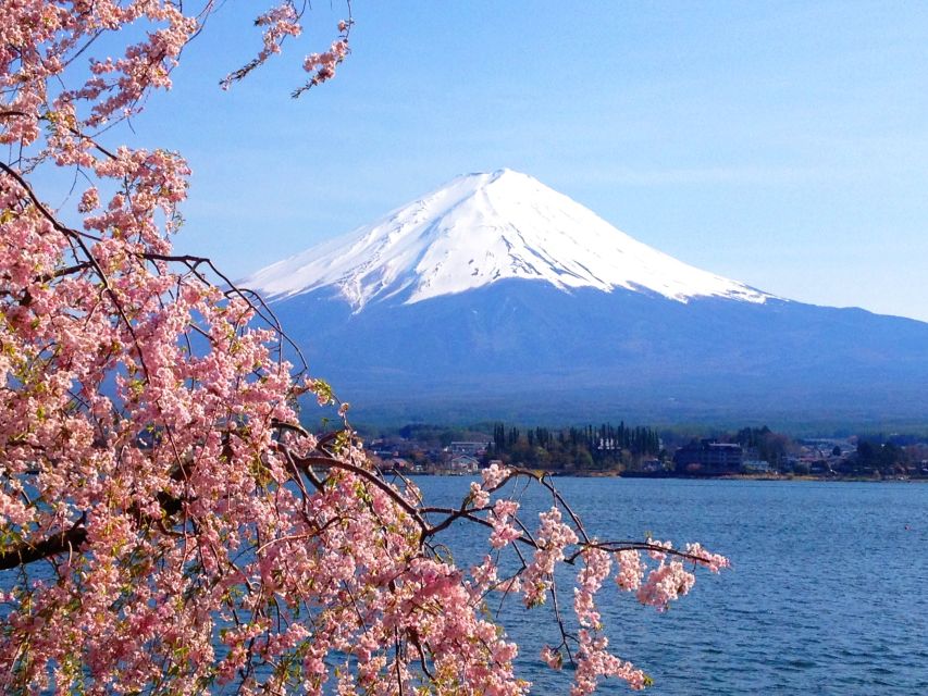 From Tokyo: Mt. Fuji or Hakone Private Sightseeing Day Trip - Customer Reviews