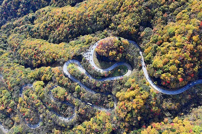 From Tokyo: Nikko Toshogu Shrine, Kegon Waterfall and Lake Chuzenji - Insightful Local History and Culture