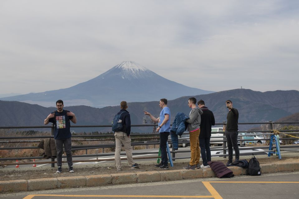 From Tokyo: Private Scenic Day Trip to Hakone - Inclusions