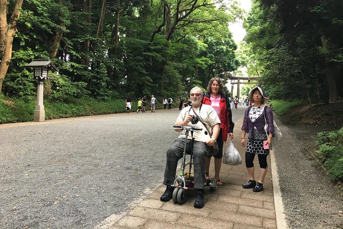 Full-Day Accessible Tour of Tokyo for Wheelchair Users - Additional Information