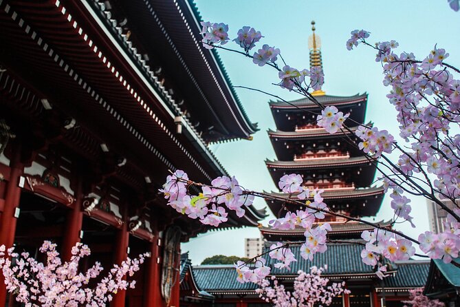 Full Day Kyoto and Nara Guided Tour - Inclusions and Exclusions