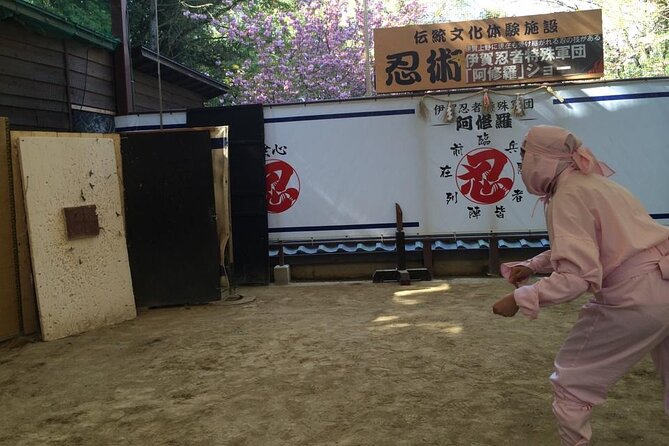 Full-Day Ninja Unique Experience in Iga - Ninja Training Sessions Included
