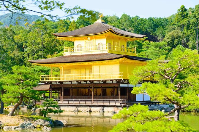 Full-Day Private Bamboo Grove and Golden Temple in Kyoto Tour - Inclusions and Exclusions