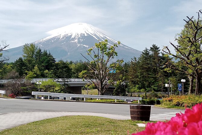 Full-day Private Exploration in Mount Fuji - Capturing the Best Moments