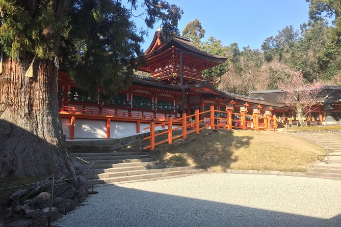 Full-Day Private Guided Tour to Nara Temples - Cultural Experiences