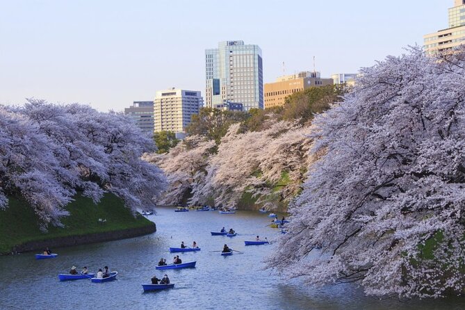 Full Day Private Luxury Tokyo Tour - Booking Information