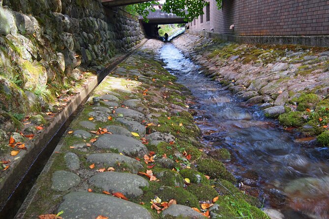 Gujo Hachiman All Must-Sees Full Day Private Tour With Government-Licensed Guide - Expectations