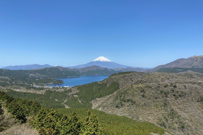 Hakone Old Tokaido Road and Volcano Half-Day Hiking Tour - Booking Information