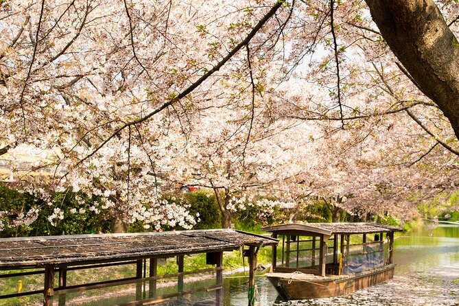 Hakone Private & Customizable Full-Day Car & Driver Service (Mar ) - Directions