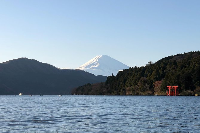 Hakone Private One Day Tour From Tokyo: Mt Fuji, Lake Ashi, Hakone National Park - Custom Tour Form and Cancellation Policy