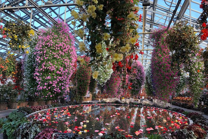 Half-Day Tour to Enjoy Japans Largest Illumination and Outlet - Itinerary Overview