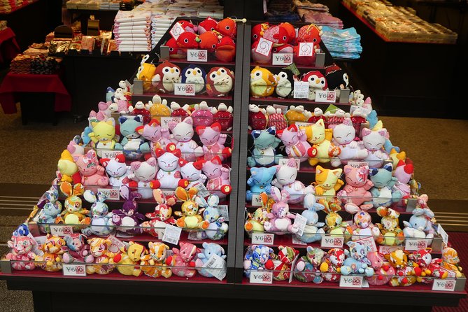 Highlights of East Kyoto by Train, Zen, Tea, Sake - Additional Info