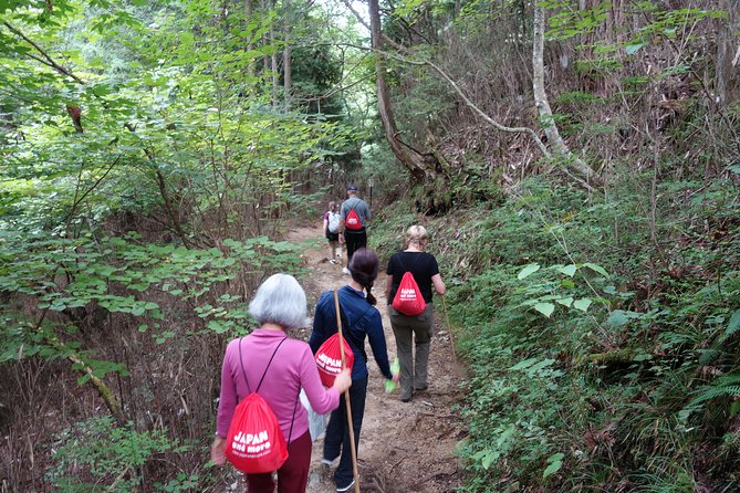 Highlights of Japan Tour: 10-day Small Group - Last Words