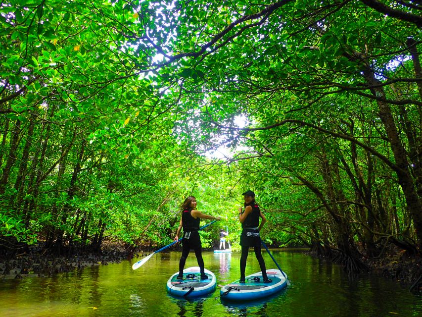 Iriomote Island: Kayaking and Canyoning Tour - Directions