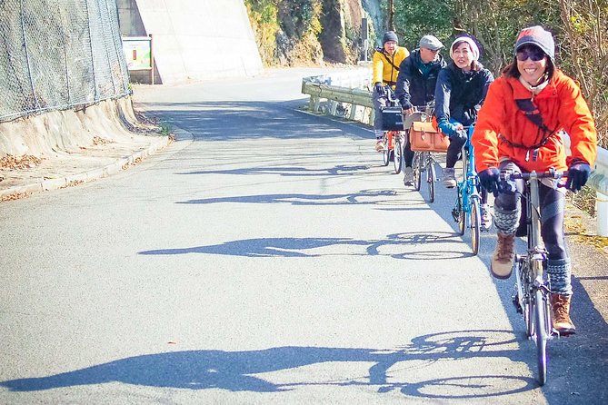 Iya Valley BROMPTON Bicycle Tour - Accessibility Information