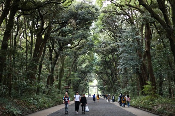 Japan Autumn & Winter Illuminations Discovery Tour (12 Days) - Booking and Pricing Information