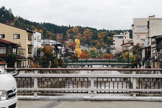 Japan Discovery Tour (12 Days) - Trip Preparation